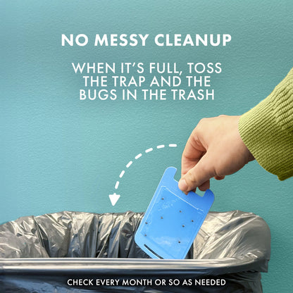 Light Trap Refills Fly Trap Bug Killer, 3 Count